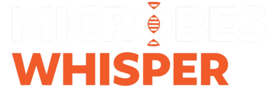 Untitled design (29)